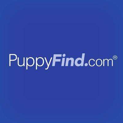 puppyfind login