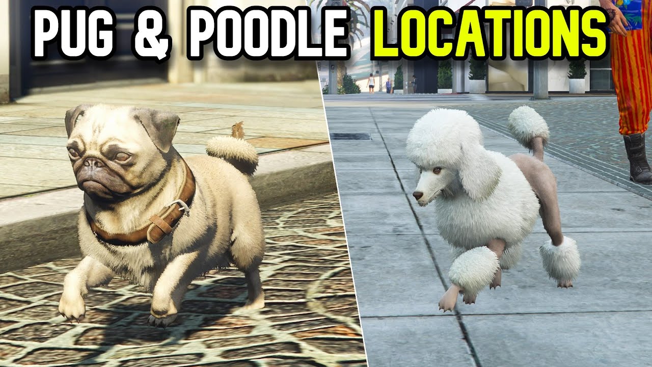 gta 5 pug location