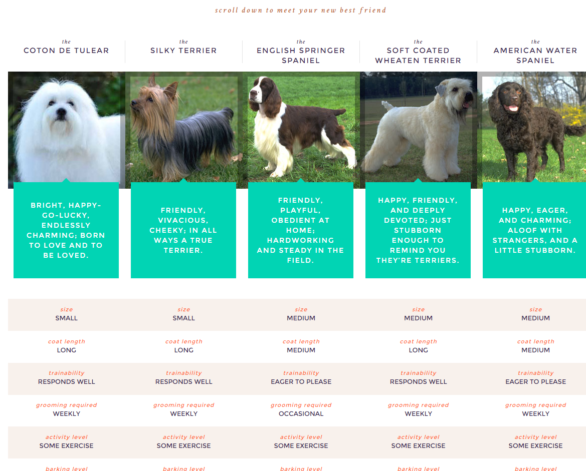 akc pet finder