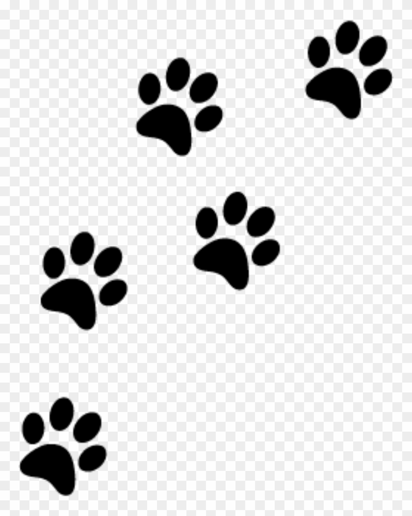 cat paws png