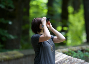 adoption search by name